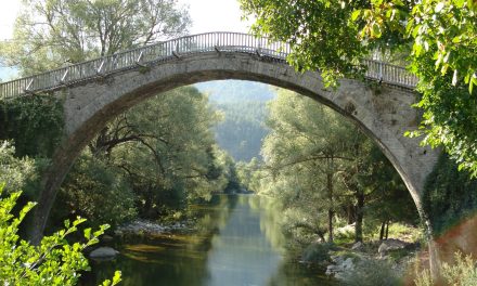 Grevena – Die Stadt der Pilze