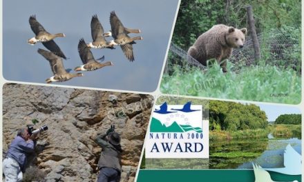 „Natura 2000“ – Preis: Fünf griechische Nominierungen im Finale