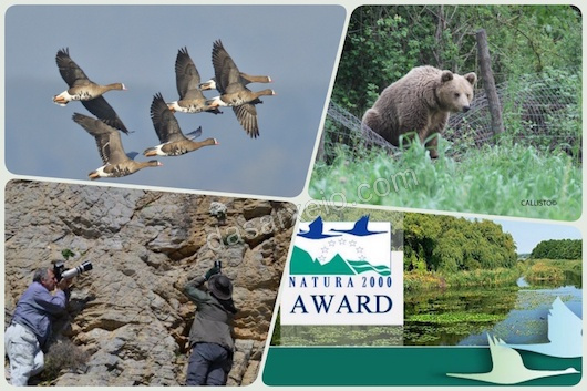 „Natura 2000“ – Preis: Fünf griechische Nominierungen im Finale