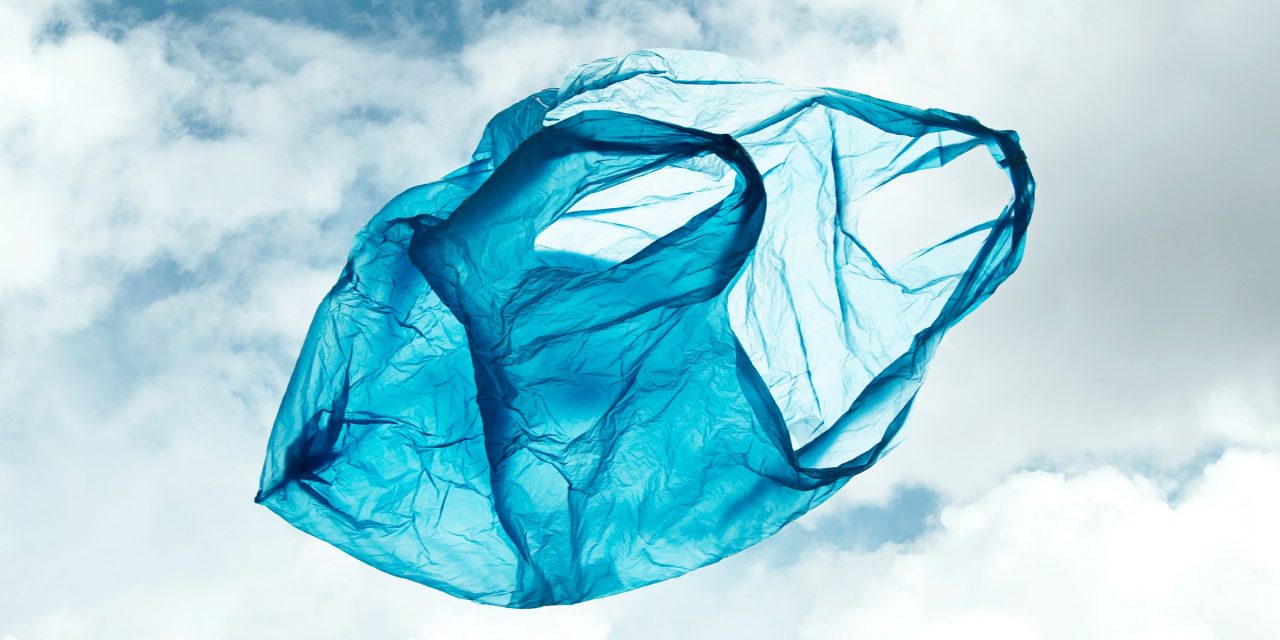 Ein unerwarteter Erfolg: Der Kampf gegen Plastiktüten