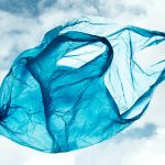 Ein unerwarteter Erfolg: Der Kampf gegen Plastiktüten