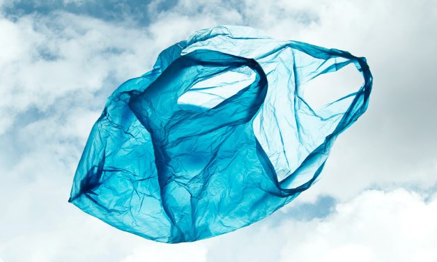 Ein unerwarteter Erfolg: Der Kampf gegen Plastiktüten