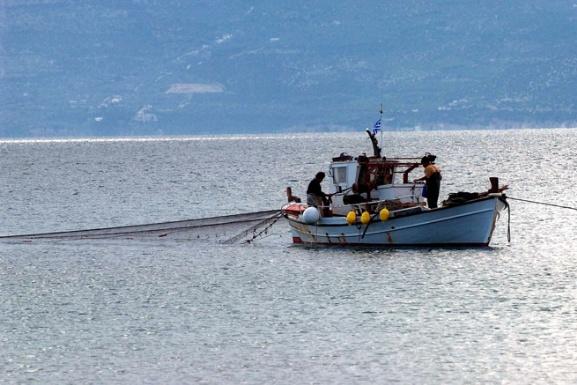 Programm für nachhaltige Fischerei in der Ägäis, von der Umweltorganisation WWF