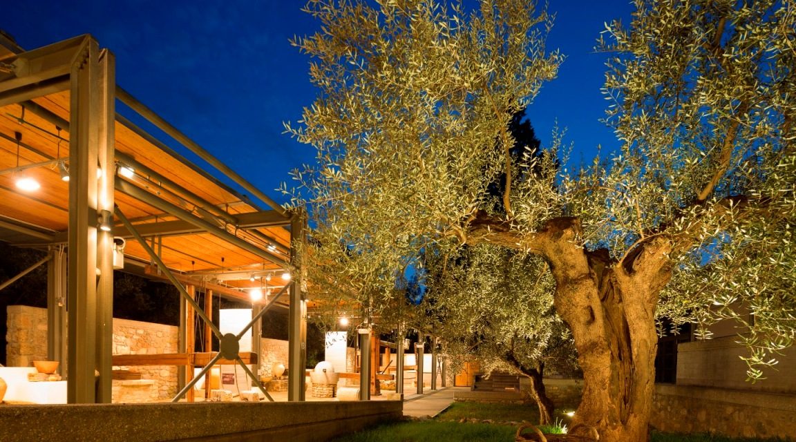 Ein Museum für den Olivenbaum und die Olive
