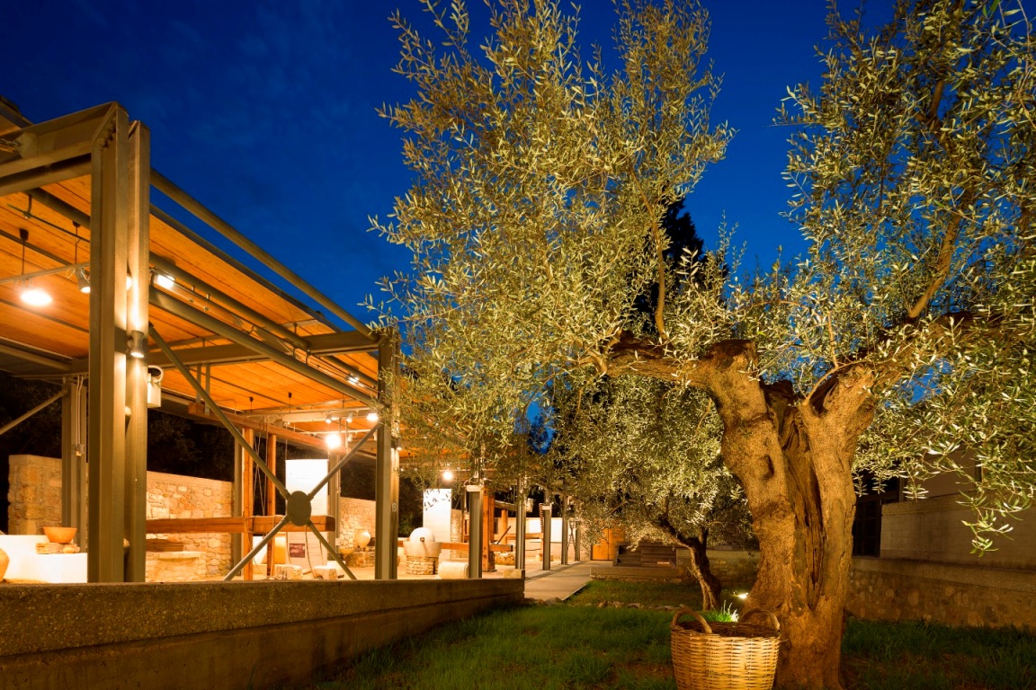 Ein Museum fr den Olivenbaum und die Olive - Griechenland Aktuell