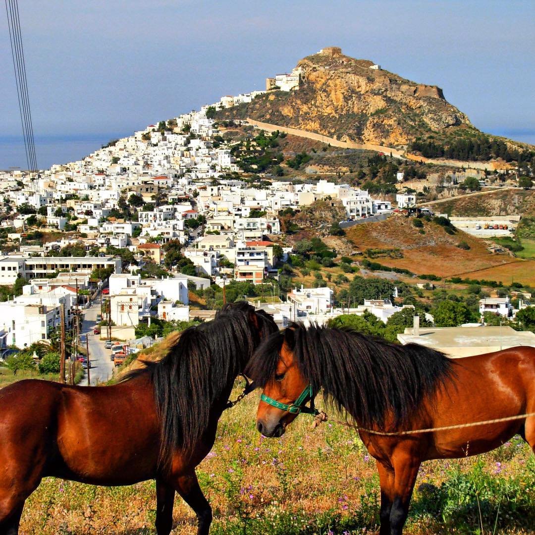 Skyros Pony DiscGR getriantafy