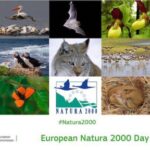21. Mai: Europäischer Natura-2000-Tag – Ein Festtag für die 446 Natura-2000-Gebiete Griechenlands