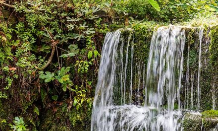 Griechenlands versteckte Wasserparadiese: Eine Reise zu den beeindruckendsten Wasserfällen