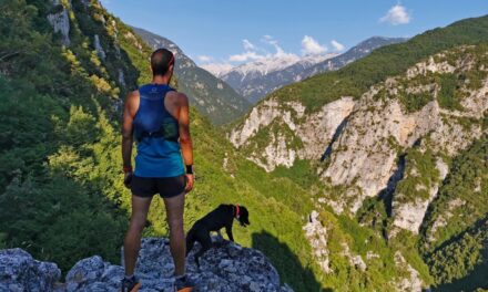 Bergtourismus – Ein Erlebnis für jede Jahreszeit