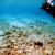 Pavlopetri CultureMin Ephorate for Underwater Antiquities